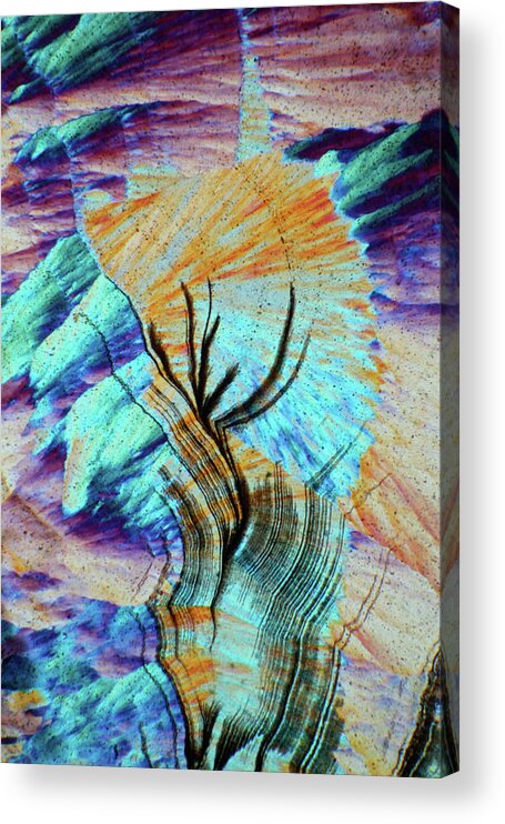 Abstract Acrylic Print featuring the photograph Agate From Brazil, Lm #16 by Bernardo Cesare