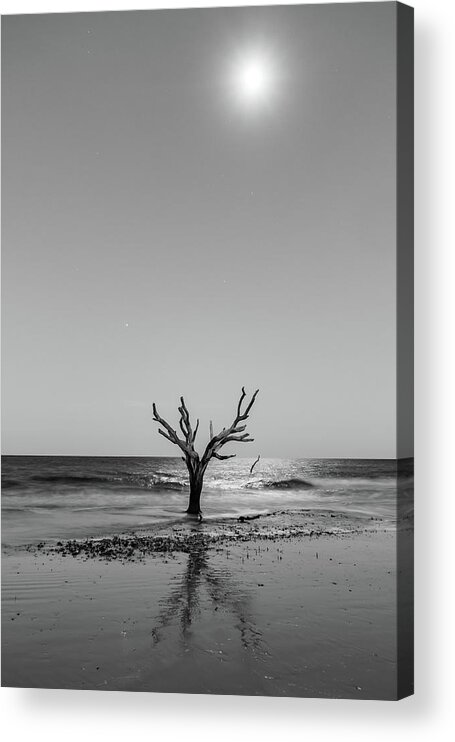 Nature Acrylic Print featuring the photograph Scenes Around Hunting Island South Carolina In Summer #19 by Alex Grichenko