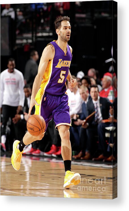 Jose Calderon Acrylic Print featuring the photograph Los Angeles Lakers V Portland Trail by Cameron Browne