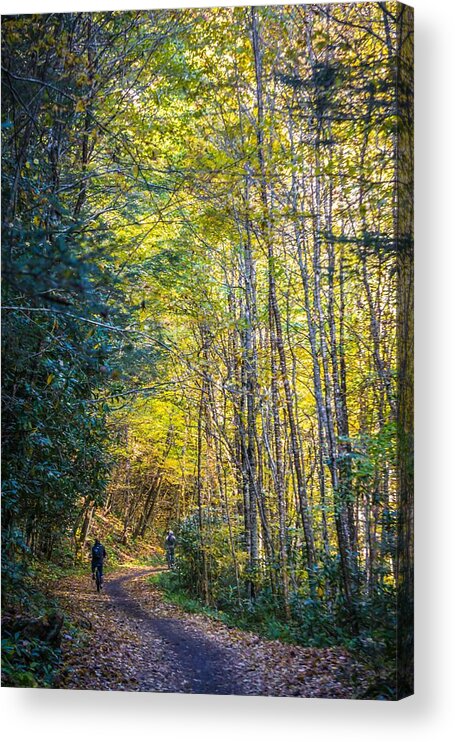 Mountain Bike Acrylic Print featuring the photograph Views Along Virginia Creeper Trail During Autumn #20 by Alex Grichenko