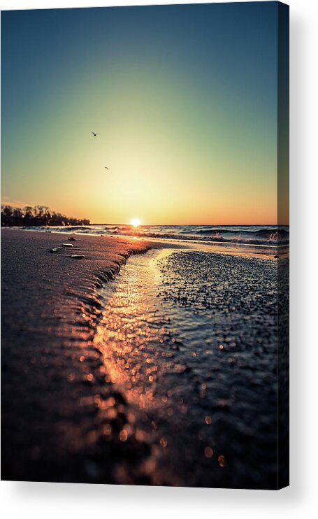 Beach Acrylic Print featuring the photograph Lake Erie Sunset #28 by Dave Niedbala