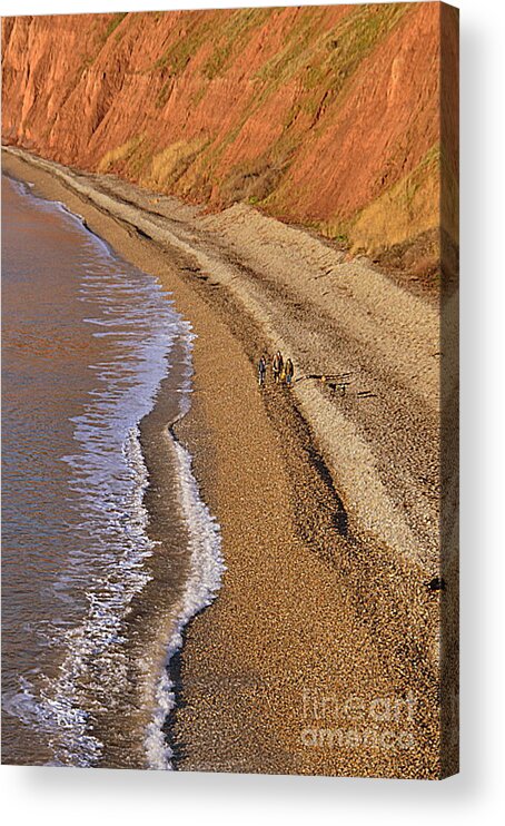 Beach Acrylic Print featuring the photograph Beach #3 by Andy Thompson