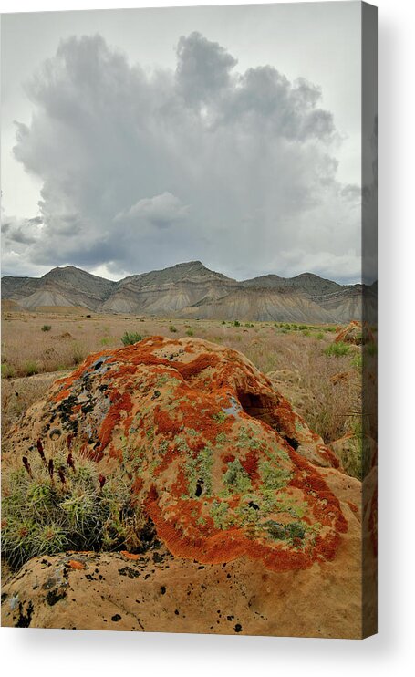 Colorado Acrylic Print featuring the photograph Book Cliff Boulders #3 by Ray Mathis