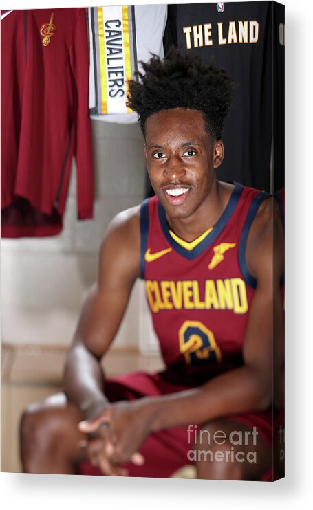 Collin Sexton Acrylic Print featuring the photograph 2018 Nba Rookie Photo Shoot #39 by Nathaniel S. Butler