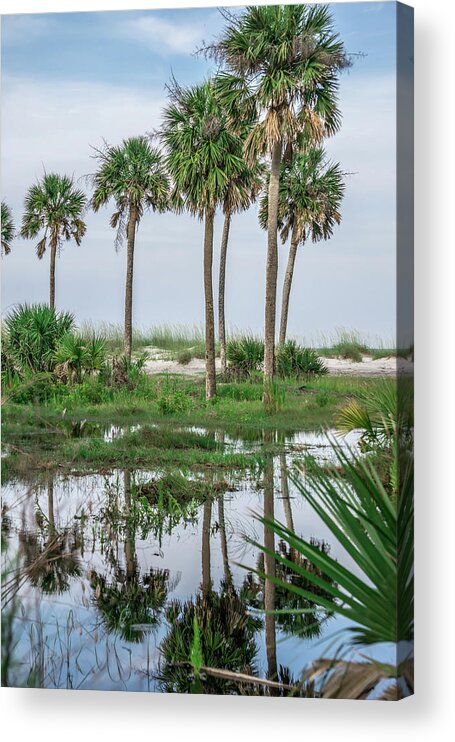 Beach Acrylic Print featuring the photograph Beach scenes at hunting island south carolina #4 by Alex Grichenko