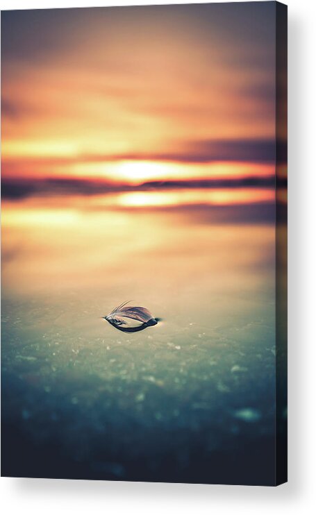 Beach Acrylic Print featuring the photograph Lake Erie Sunset #4 by Dave Niedbala