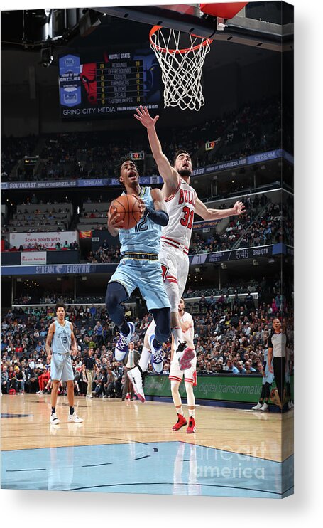 Nba Pro Basketball Acrylic Print featuring the photograph Chicago Bulls V Memphis Grizzlies by Joe Murphy