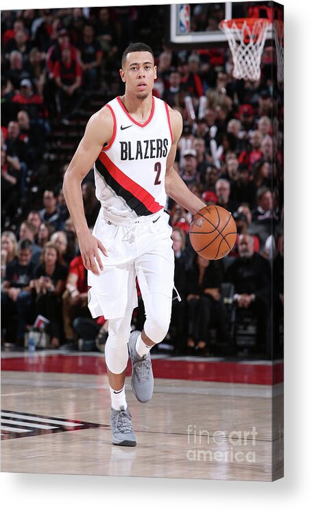 Wade Baldwin Iv Acrylic Print featuring the photograph New Orleans Pelicans V Portland Trail #9 by Sam Forencich