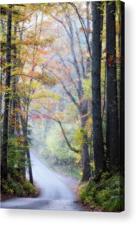 Appalachian Acrylic Print featuring the photograph A Canopy of Autumn Leaves by Lana Trussell