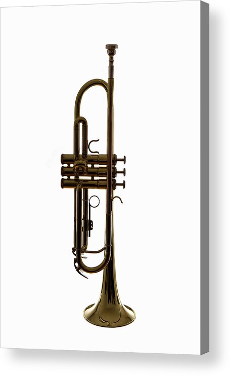Curve Acrylic Print featuring the photograph A Trumpet, Studio Shot by Halfdark