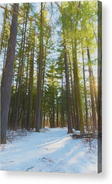 Woods Acrylic Print featuring the photograph A Walk In Warm Winter Woods by Bill and Linda Tiepelman