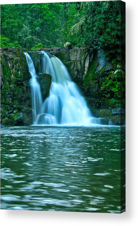 Art Prints Acrylic Print featuring the photograph Abrams Falls by Nunweiler Photography