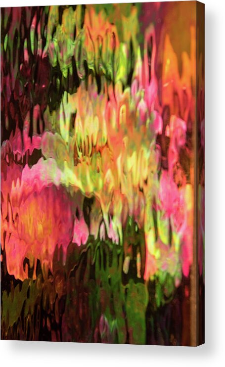 Flowers Acrylic Print featuring the photograph Abstract Flowers by Minnie Gallman