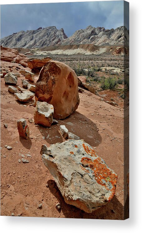 County Road 1028 Acrylic Print featuring the photograph Afternoon at San Rafael Swell by Ray Mathis