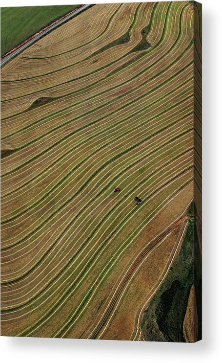 Scenics Acrylic Print featuring the photograph Agriculture by Charles Briscoe-knight