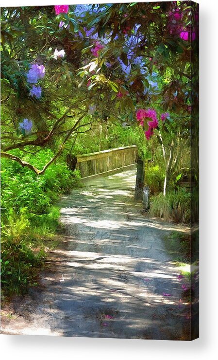 Mendocino Botanical Gardens Acrylic Print featuring the photograph Among The Rhododendrons by Thom Zehrfeld