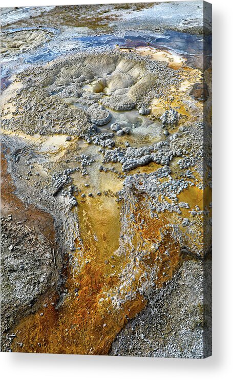 Anemone Geyser Acrylic Print featuring the photograph Anemone Geyser by Mitch Cat