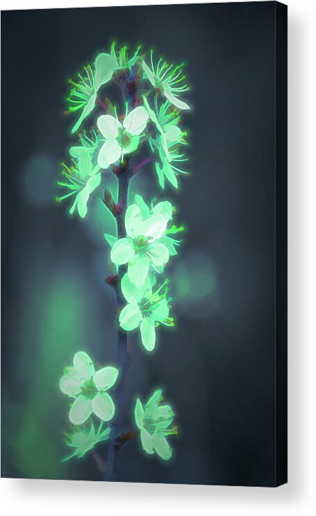 Alien Acrylic Print featuring the photograph Another World - Glowing Flowers by Scott Lyons