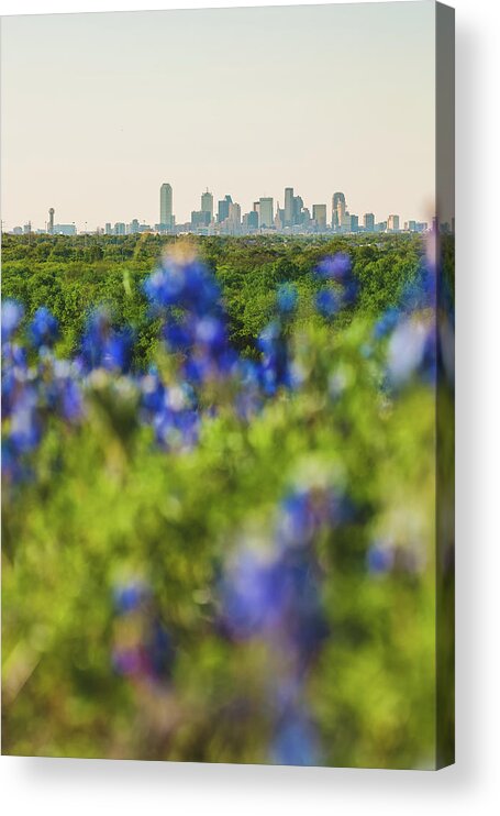 Dallas Acrylic Print featuring the photograph April in Dallas by Peter Hull