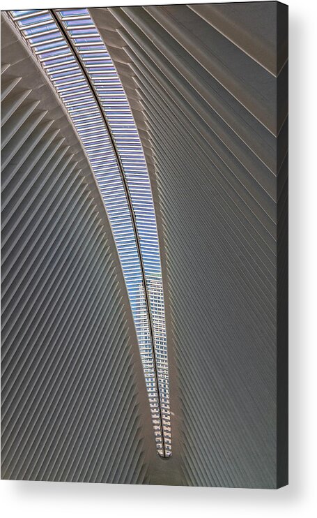 The Oculus Acrylic Print featuring the photograph Articulated Angles by Angelo Marcialis