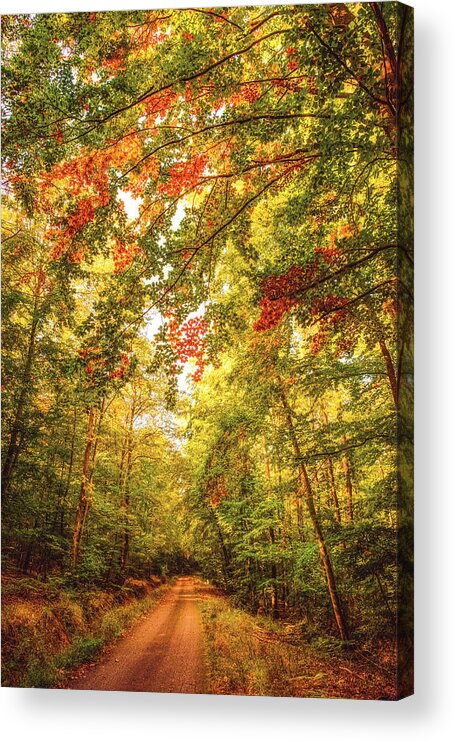 Autumn Acrylic Print featuring the photograph Autumn Colorful Path by Philippe Sainte-Laudy