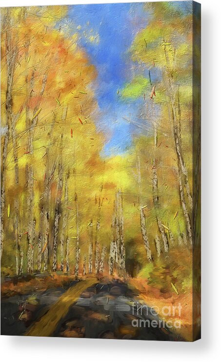 Autumn Acrylic Print featuring the digital art Autumn Country Road by Lois Bryan