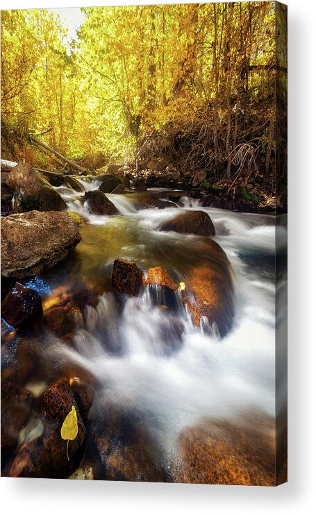 Bishop Creek Acrylic Print featuring the photograph Autumn Creek by Tassanee Angiolillo