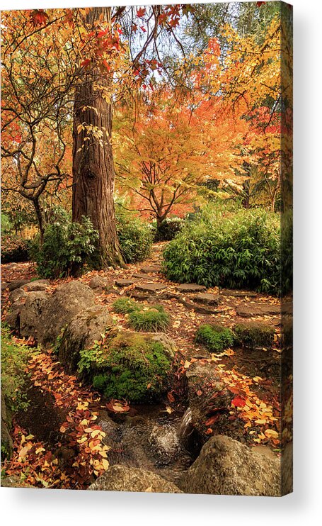 Autumn Acrylic Print featuring the photograph Autumn Stream In Lithia Park by James Eddy