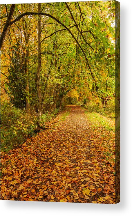 Nature Acrylic Print featuring the photograph Autumn Walk by Bob Cournoyer