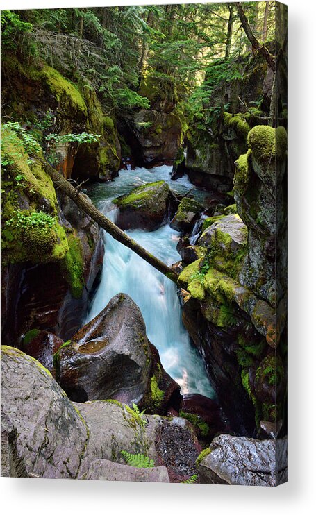 Glacier Acrylic Print featuring the photograph Avalanche Creek Falls 5 by Roger Snyder