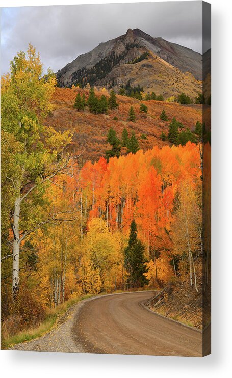Colorado Acrylic Print featuring the photograph Backroad Fall Colors near Telluride CO by Ray Mathis