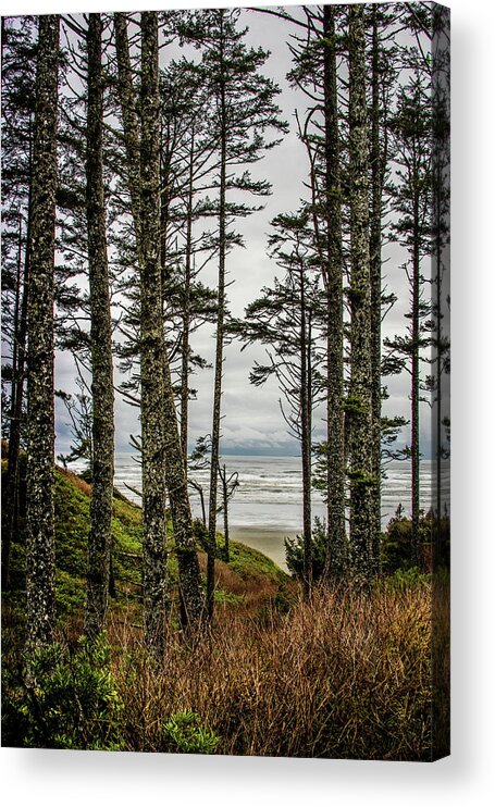 Trees Acrylic Print featuring the photograph Beach Trees by Jerry Cahill