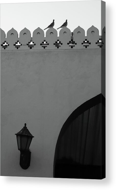 Black And White Acrylic Print featuring the photograph Birds and Patterned Side Rail Shot 2 by Prakash Ghai