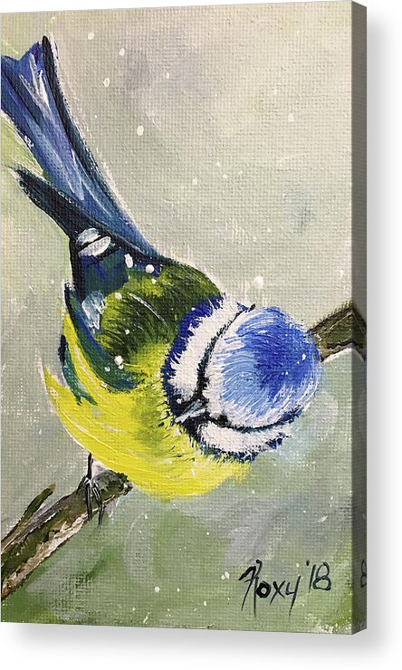 Bird Acrylic Print featuring the painting Blue Tit in Snow by Roxy Rich
