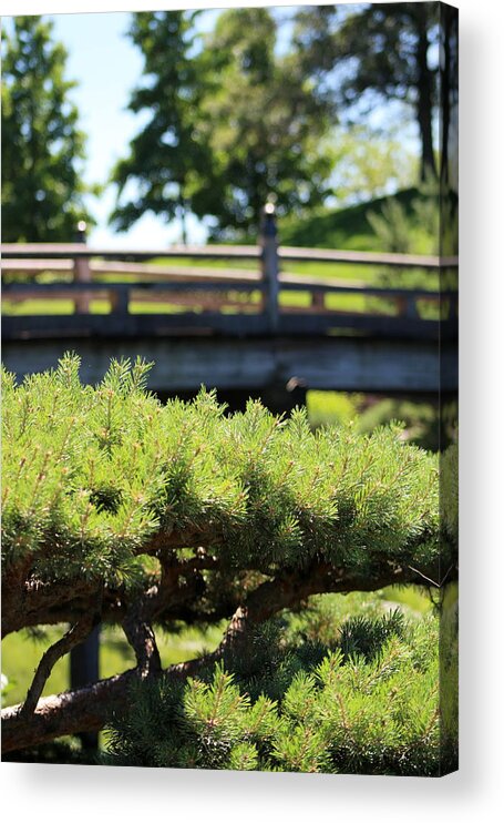 Mocha Cappuccino Acrylic Print featuring the photograph Bridge in Japanese Garden by Colleen Cornelius