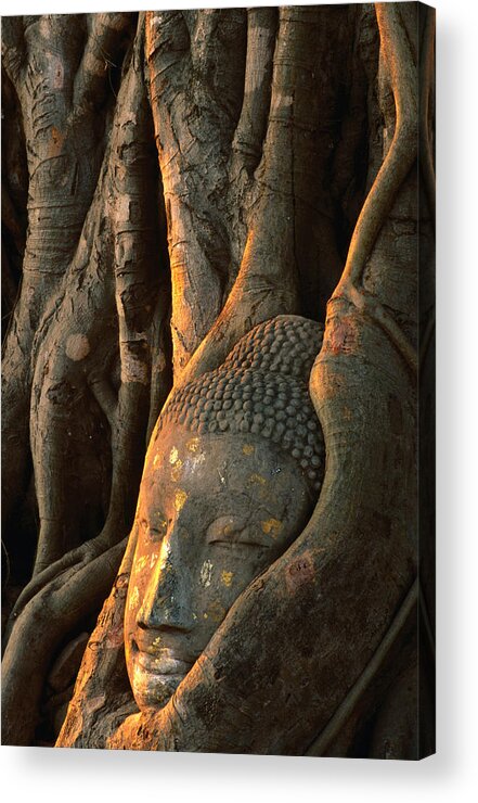 Southeast Asia Acrylic Print featuring the photograph Buddha Head Inbedded In Roots At Wat by Anders Blomqvist