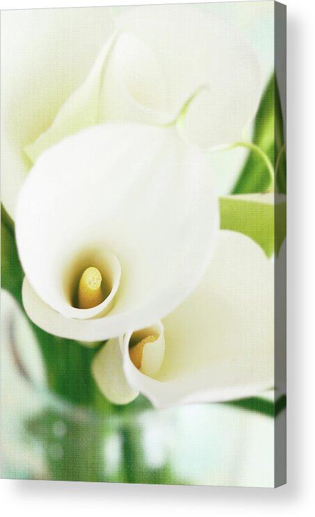 Calla Lily Acrylic Print featuring the photograph Calla Lilies In Vase With Texture by Dhmig Photography