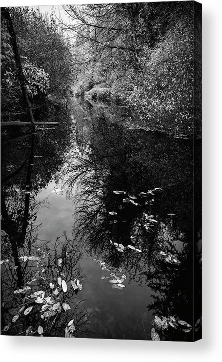 Country Images Acrylic Print featuring the photograph Calm Water Fall by Steven Clark