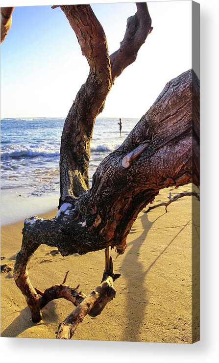 Beach Acrylic Print featuring the photograph Casting Off by Bari Rhys