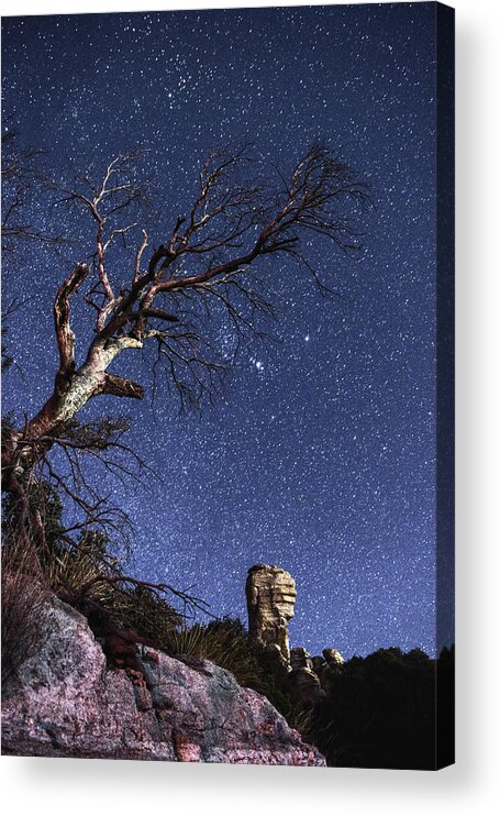Stars Acrylic Print featuring the photograph Catalinas Starry Night by Chance Kafka