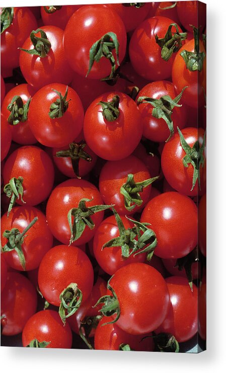 Juicy Acrylic Print featuring the photograph Cherry Tomatoes by Mark Gibson