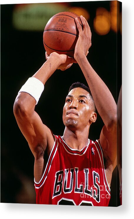 Chicago Bulls Acrylic Print featuring the photograph Chicago Bulls Scottie Pippen by Nathaniel S. Butler