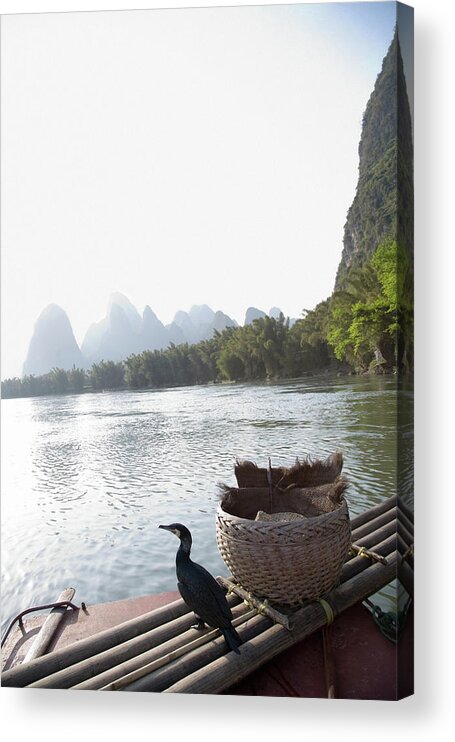 Tranquility Acrylic Print featuring the photograph China, Guilin, Lijang River, Trained by Jerry Driendl