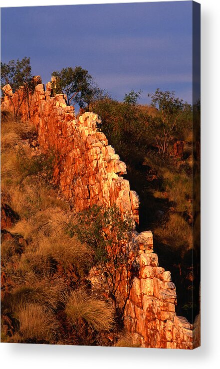 Grass Acrylic Print featuring the photograph China Wall, Halls Creek, Kimberley by Oliver Strewe