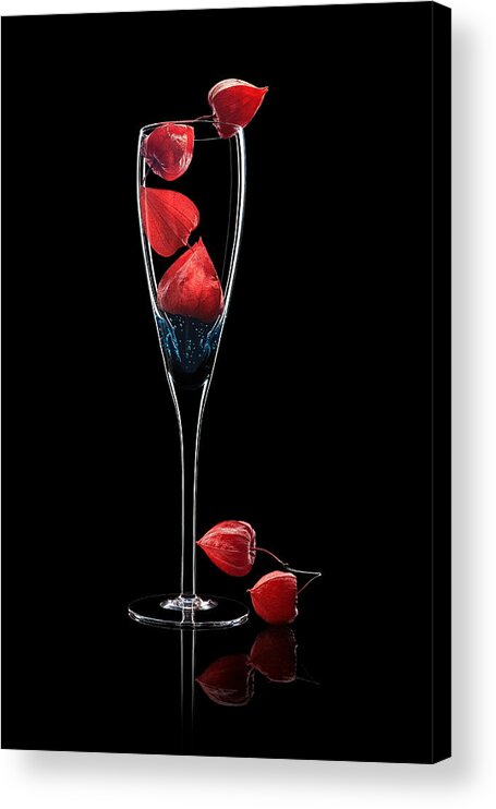 Dark Acrylic Print featuring the photograph Chinese Lantern Flower by Grace Su