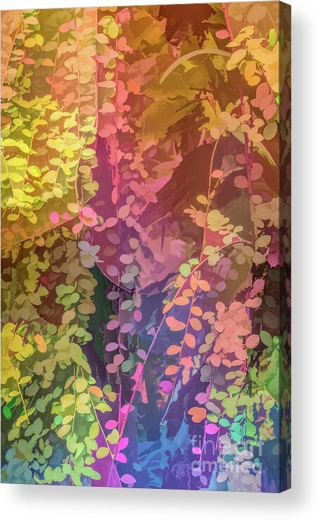 Abstract Acrylic Print featuring the photograph Colorful Leaves by Roslyn Wilkins