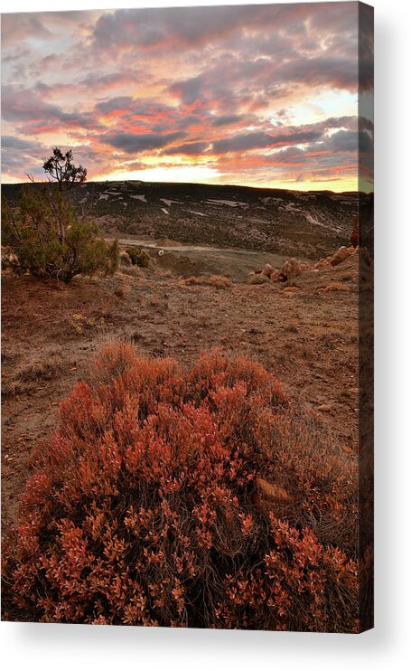 Little Park Road Bentonite Site Acrylic Print featuring the photograph Colorful Sunset and Bush in Bentonite Site by Ray Mathis