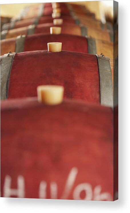 People Acrylic Print featuring the photograph Corked Wine Casks by Moodboard