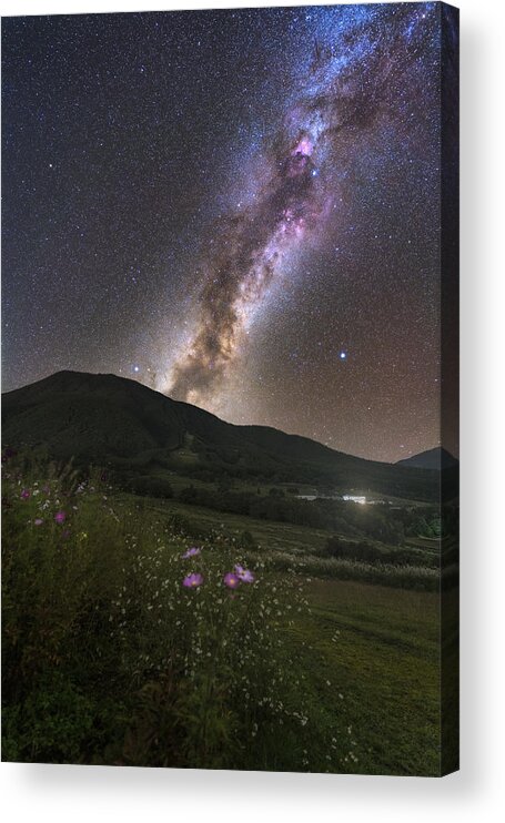  Acrylic Print featuring the photograph Cosmos Blooming In The Galaxy by Harlock