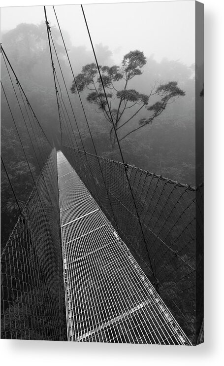Bridge Acrylic Print featuring the photograph Costa Rica-18 by Moises Levy